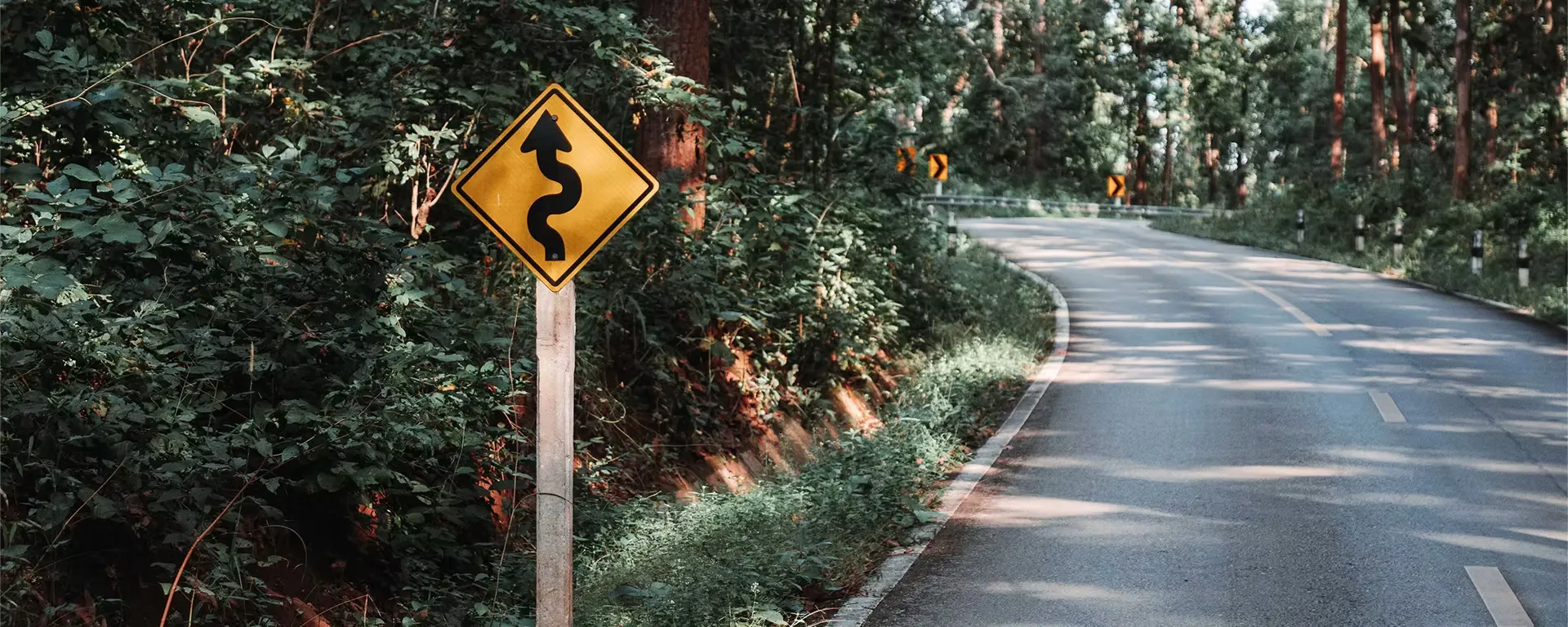 A road in the forest with green bushes on the side and sign indicating 'winding road ahead'
