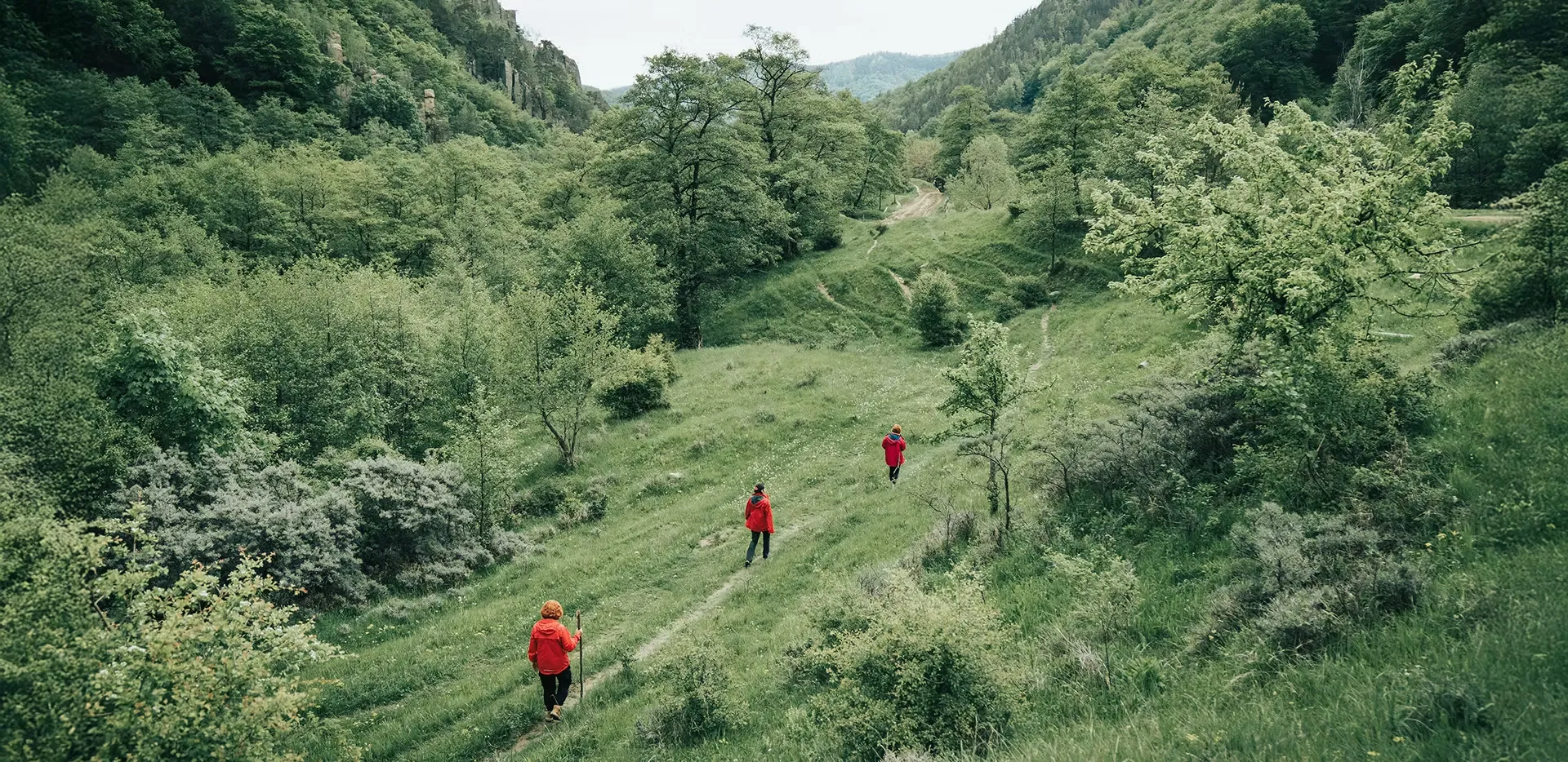 Inspiring visual representing personal growth and guidance through coaching