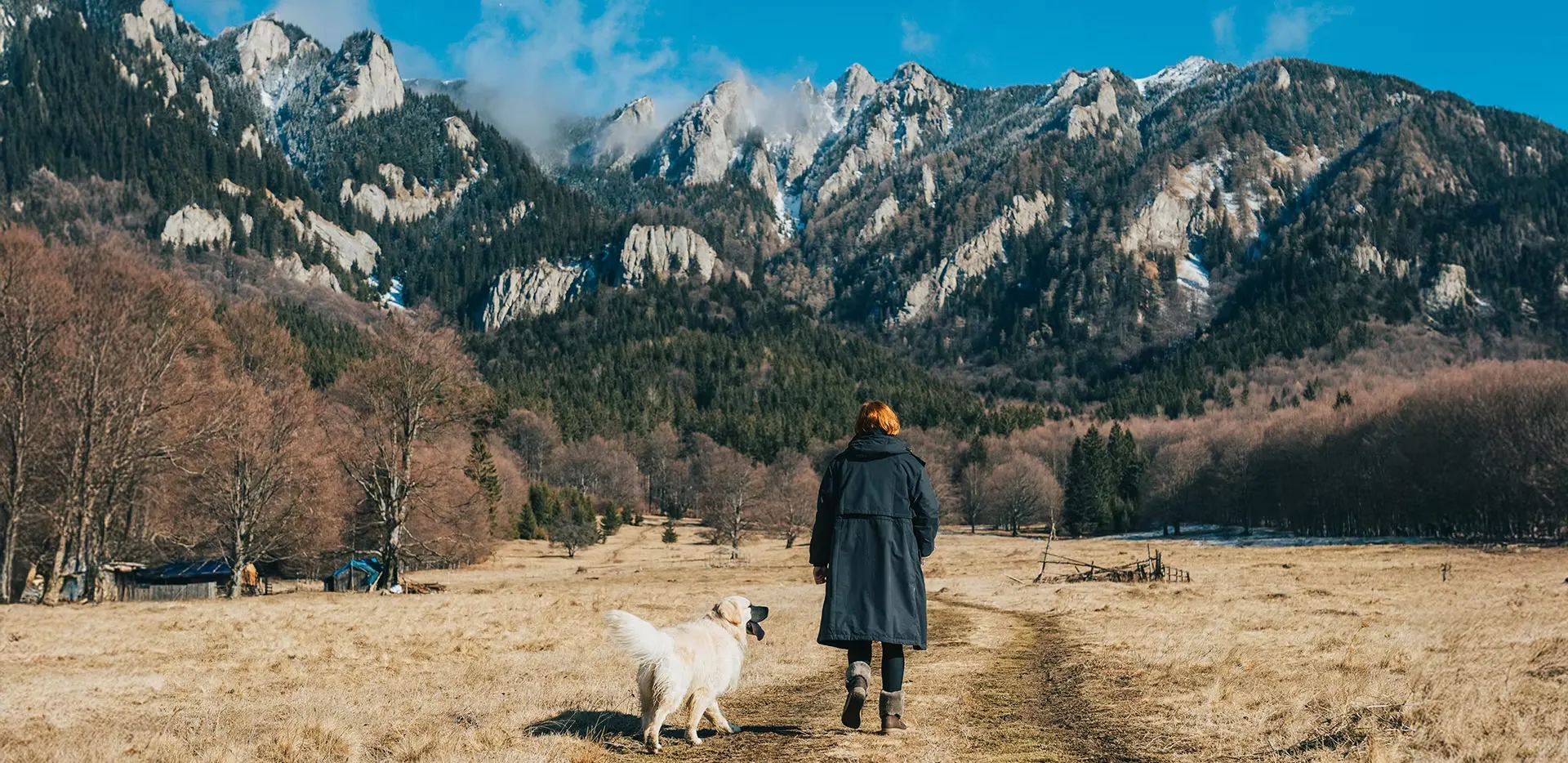 Andra walking towards a mountain range in the background with a golden retriever dog next to her